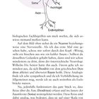Illustration eines Neurons: Dendriten, Soma, Axonhügel, Axon und Endknöpfchen. Text beschreibt Neuronen als Bäume.