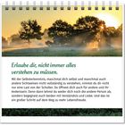 "Erlaube dir, nicht immer alles verstehen zu müssen." Sonnenstrahlen durch Bäume, neblige Morgenlandschaft.