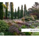 "Die besten Pflanzen" steht auf einem weißen Balken. Eine malerische Landschaft mit hohen Bäumen und üppigen Sträuchern.