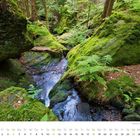 „Juli“ steht in grün. Ein bachüberwachsener Mooswald mit Farnen und großen Felsen.