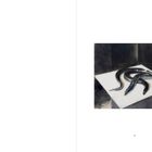 Seite 95. Gemälde von drei dunklen Schlangen auf einer weißen Unterlage in einem dunklen Raum.