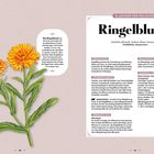 Text: "Ringelblume", "Calendula officinalis", "Anwendung: Hautverletzungen", "Eigenschaften: antibakteriell". Illustration: orange Blüten.