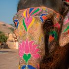 Keine Texte. Ein Elefant mit bunten Mustern in Pink, Grün, Gelb und Blau auf der Haut verziert.