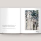 Links: Text auf Deutsch und Englisch über Maria Albrechts Bildsprache. Rechts: Illustration von Bäumen im Nebel.