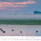 Kalenderblatt Juli 2027, Niederrhein: Morgenstimmung an der Bislicher Insel. Enten auf einem ruhigen Gewässer im Nebel.