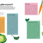 Was gibt es jetzt? Im Herbst dreht die Natur noch einmal richtig auf. Kunterbunt wie das sich langsam färbende Laub...