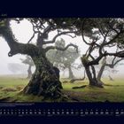 06 Juni. Vernebelte, verdrehte Bäume auf einer grünen Wiese. Dunkler Hintergrund mit Kalenderdaten unten.