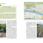 "Wanderparadies Mosel", "GPS-Tour 8", "Kletterweg Erdener Treppchen", Karte mit Pfad und Straßen, Foto von Weinbergen.