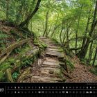 Kalender mit Naturfoto: Ein moosbedeckter Holzpfad im dichten Wald. Text: "Waldpfad im Shiratani Unsuikyo Tal, Yakushima."