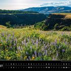 Kalender mit Juli, Landschaft mit blühender Wiese. Grüne Hügel und Berge im Hintergrund unter klarem Himmel.
