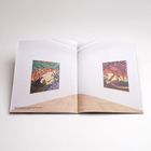 Zwei farbenfrohe Gemälde in einem offenen Buch auf weißem Hintergrund.