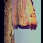 Text: "F 2.8 35MM". Ein verrostetes großes Schiff am Strand, teilweise im Wasser. Sand und Spuren im Vordergrund.