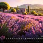 "Lavendel Feld" und Kalendertage. Illustration von blühenden Lavendelfeldern mit Bäumen und einem Haus im Hintergrund.