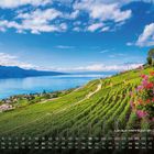 "Lavaux Weinregion am Genfersee", Kalenderansicht, malerische Weinberge, blauer See, Blumen im Vordergrund.