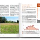 "Vom Falken • 1561 m zum Seelekopf • 1663 m" als Überschrift. Links: blühende Almwiese mit Wald und Bergen im Hintergrund.