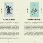"Der Wacholder" und "Der Mistelzweig" mit Illustrationen von Pflanzen, die Symbole und Texte über deren Bedeutung zeigen.