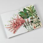Etiketten mit Pflanzenillustrationen, verschiedene Blätter und Blumen, teils pink und grün. Symmetrisch angeordnet.