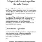 17: 7-Tage-Anti-Entzündungs-Plan für mehr Energie. Überschriften: "Übersichtliche Tagespläne". Text über Ernährung.