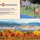 TOP 10 EXPERIENCES: 1. Tiere in Yellowstone suchen. 2. Aufwachen mit Bergblick in Colorado. Hirsch am Wegweiser, herbstliche Landschaft.