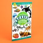 "50 Temporary Tattoos that Teach" und "Watery World of Tattoo Ocean Animals". Verschiedene bunte Meerestiere abgebildet.