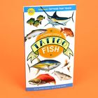 Buchcover-Design mit Texten: "Temporary Tattoos That Teach", "The Perfect Catch of Tattoo Fish". Illustrationen von Fischen.