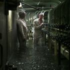 Zwei Männer in Schutzkleidung stehen knietief im Wasser vor großen Rohren in einem industriellen Raum.