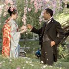 Ein Mann im Anzug reicht einer Frau im Kimono die Hand unter blühenden Ästen in einem Garten mit Brücke und Pfauen.