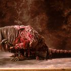 Keine sichtbaren Texte. Ein seitlich stehendes, skurriles Wesen mit langer Schnauze und zotteligem Fell auf rustikalem Hintergrund.