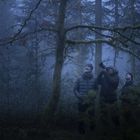 Drei Personen stehen in einem nebligen Wald und schauen nach oben; eine Person hält eine Kamera.