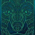 Eine detaillierte Illustration eines Wolfskopfes in grünen und blauen Linien auf dunklem Hintergrund.