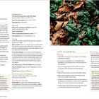 Spinach: Informationen zu Temperatur, Abstand, Timing und Pflege. Enthält Tipps zum Anpflanzen, Ernten und Alternativen. Links ein Textteil, rechts ein Foto mit grünen Spinatblättern und braunen Blättern am Boden.