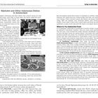 "Rijsttafel and Other Indonesian Dishes in Amsterdam" - beschreibt das indonesische Essen, Rijsttafel, und wo man es probieren kann.