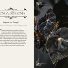 Conga Begonia: Begonia rex 'Conga', samtig dunkel mit purpurnen Blättern. Benötigt helles, indirektes Licht und feuchte Umgebung.