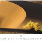 Kalenderblatt zeigt August, mit Datumsleiste. Hervorgehoben: 15, 22, 29. Sanddünen und Grasbüschel in der Wüste.
