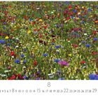 Der Text "CASARES EDITION" steht unter einem Kalenderblatt für den 8. Ein Blumenfeld mit bunten Blüten ist abgebildet.