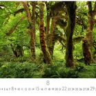 Unter einer Kalendertabelle mit Zahlen und dem Monat „August“: Ein dichter Wald mit bemoosten Bäumen und Farnen.