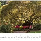Kalender in der Casares Edition mit Augustdaten, Baum in einem blühenden Garten, bunte Blumen darunter.