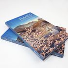 „HAIKU der jahreszeiten“ steht auf dem Cover eines Buches mit Kirschblüten und einer Brücke in japanischer Landschaft.