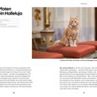 Vier Pfoten und ein Halleluja. Bezirke: Alsergrund, 1090 Wien. Katze: Schubert. Mensch: Bernhard Messer.