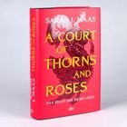 Text: "SARAH J. MAAS, A COURT OF THORNS AND ROSES, DAS REICH DER SIEBEN HÖFE, dtv". Roter Buchumschlag mit dekorativem Muster.