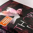 Text: SPIEGEL Bestseller-Autorin. Niemand an der Highschool weiß, sie ist die Tochter eines Serienkillers. Cover: Silhouette eines Vogels.