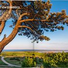 "Blick vom Dornbusch." Ein Baum mit gebogenen Ästen über einer weiten Landschaft im Abendlicht, mit grünem Gras und Wasser.