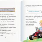 „Das zerstörte Zuhause“, Illustration: Emil in einem Auto mit einer Eule und einer Katze, auf einer Wiese.