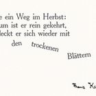 „Wie ein Weg im Herbst: Kaum ist er rein gekehrt, bedeckt er sich wieder mit den trockenen Blättern.“ Franz Kafka.