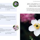 Pflegeleichte Pflanzen: Tauben-Skabiose (Butterfly Blue, Pink Mist), Zierlauch. Attraktiv für Insekten. Halbschatten bevorzugt.