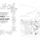 Text über Sylt als Surferziel. Seesterne und Blasen umgeben den Text. Rechts VW-Bus mit Surfbrettern und Drachen.