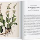 Texte: "The Medicinal Plants by Fuchs", "in Modern Herbal Medicine". Links Illustration: Pflanze mit grünen Blättern und Wurzeln.
