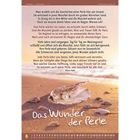 Text oben: Geschichte einer Perle am Strand. Unten: "Das Wunder der Perle". Geöffnetes Muschelgehäuse mit Perle.