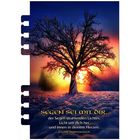 Text: „SEGEN SEI MIT DIR, der Segen strahlenden Lichtes. Licht um dich her und innen in deinem Herzen. Irischer Segenswunsch.“ Ein Baum im Sonnenuntergang, Schnee.