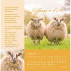 „Hoffnung im Licht“, irischer Segenstext über Zuversicht und Schutz. Zwei Schafe auf einer grünen Wiese im August-Kalender.